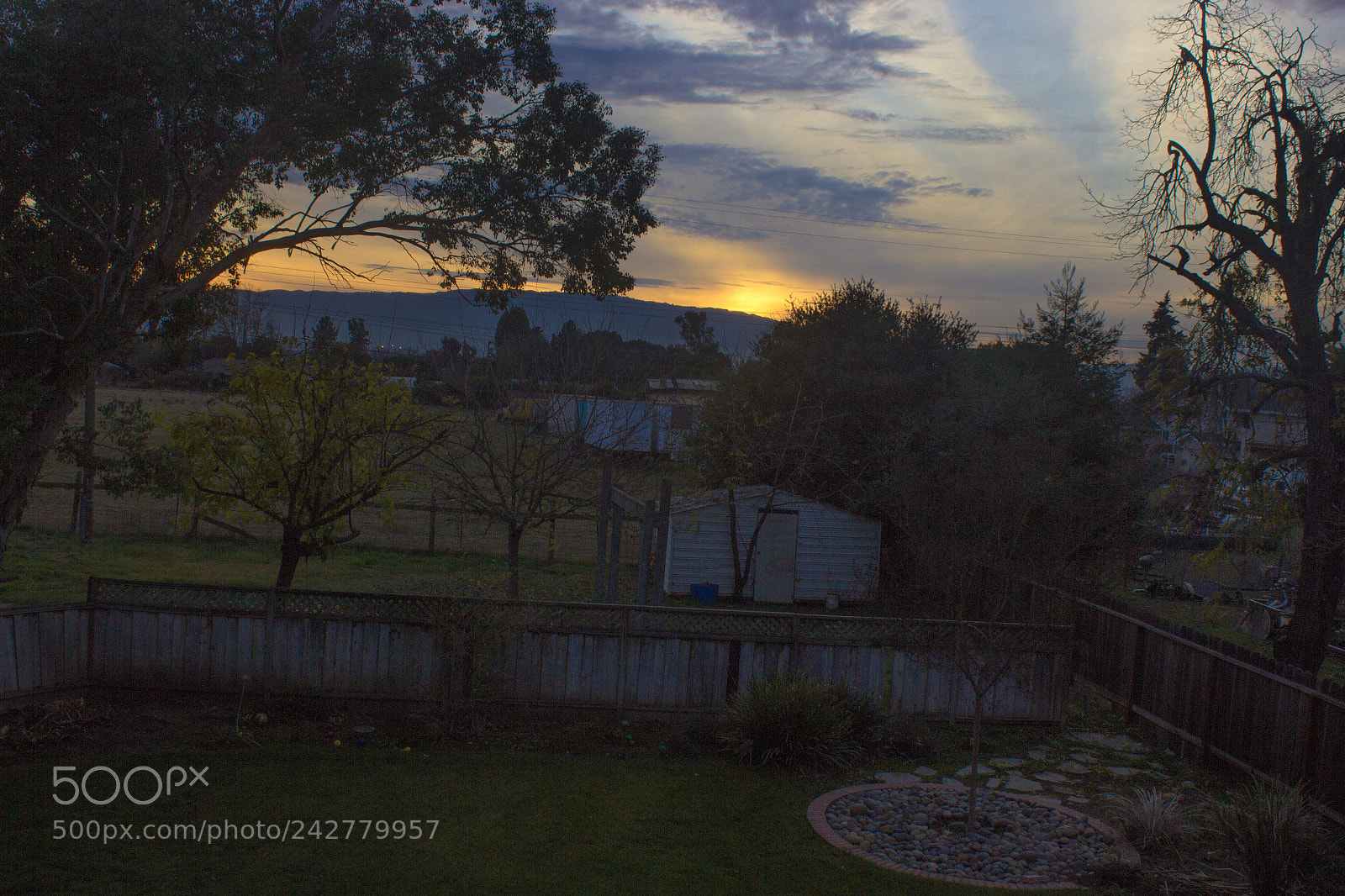 Canon EOS 600D (Rebel EOS T3i / EOS Kiss X5) sample photo. Backyard sunset photography