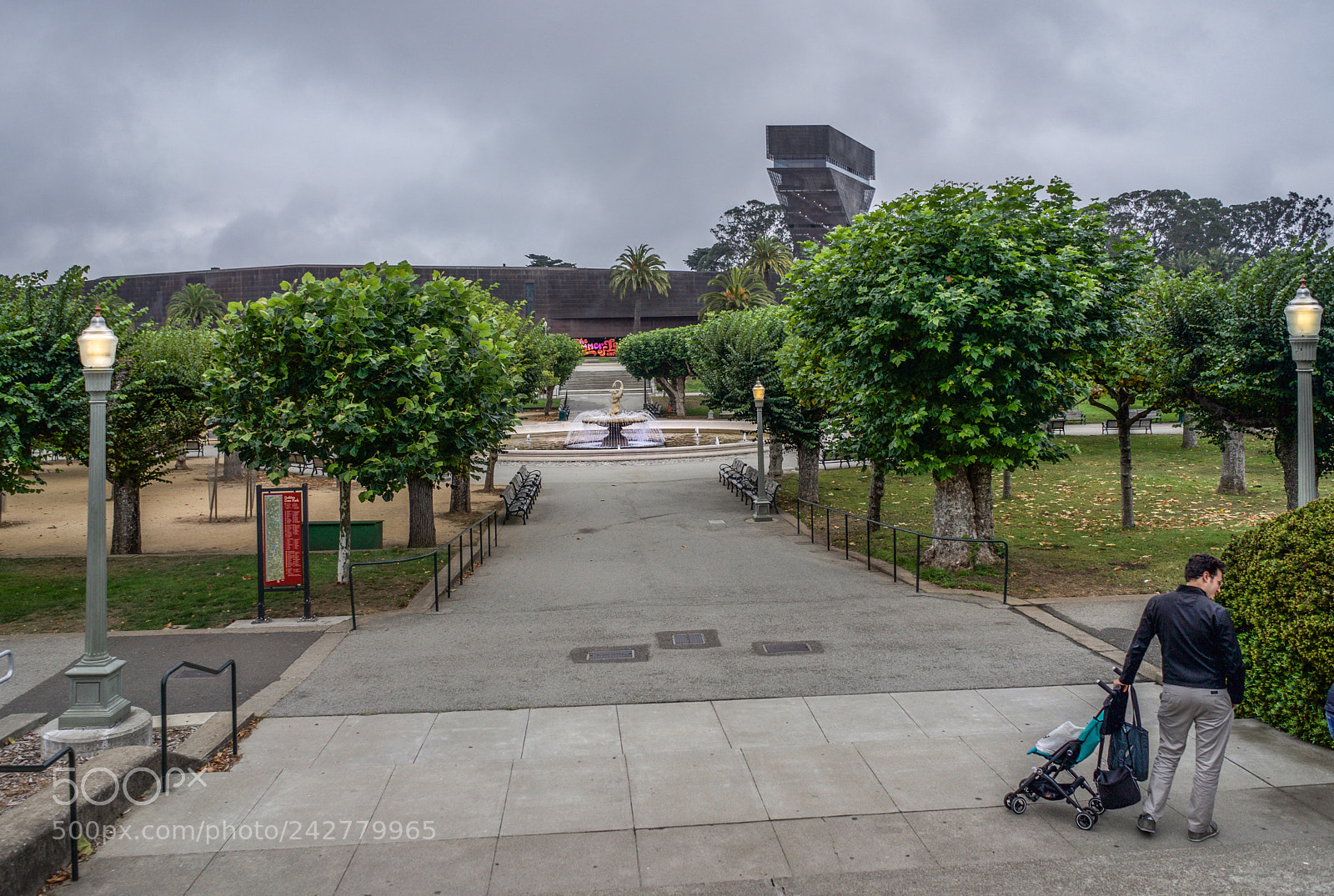 Sony a7 sample photo. Golden gate park san photography