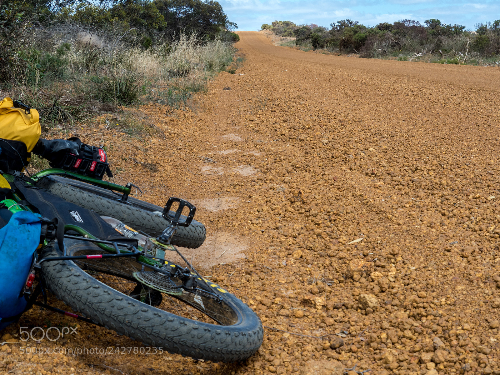 Olympus OM-D E-M5 II sample photo. Springdale road - day photography