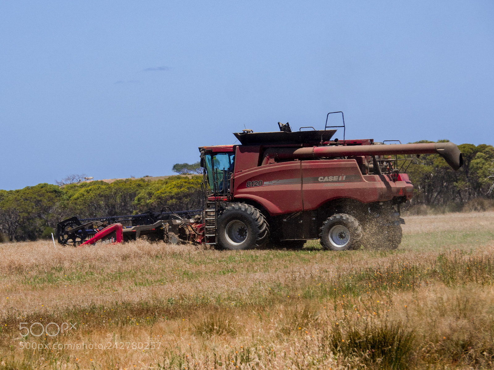 Olympus OM-D E-M5 II sample photo. Late harvesting at munglinup photography