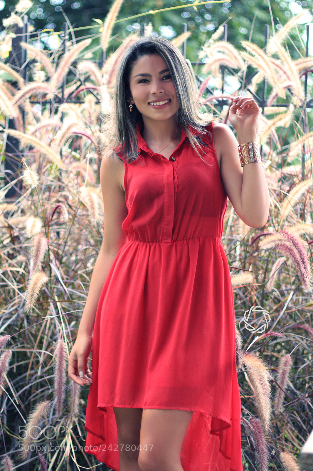 Canon EOS 700D (EOS Rebel T5i / EOS Kiss X7i) sample photo. Bella chica de vestido photography