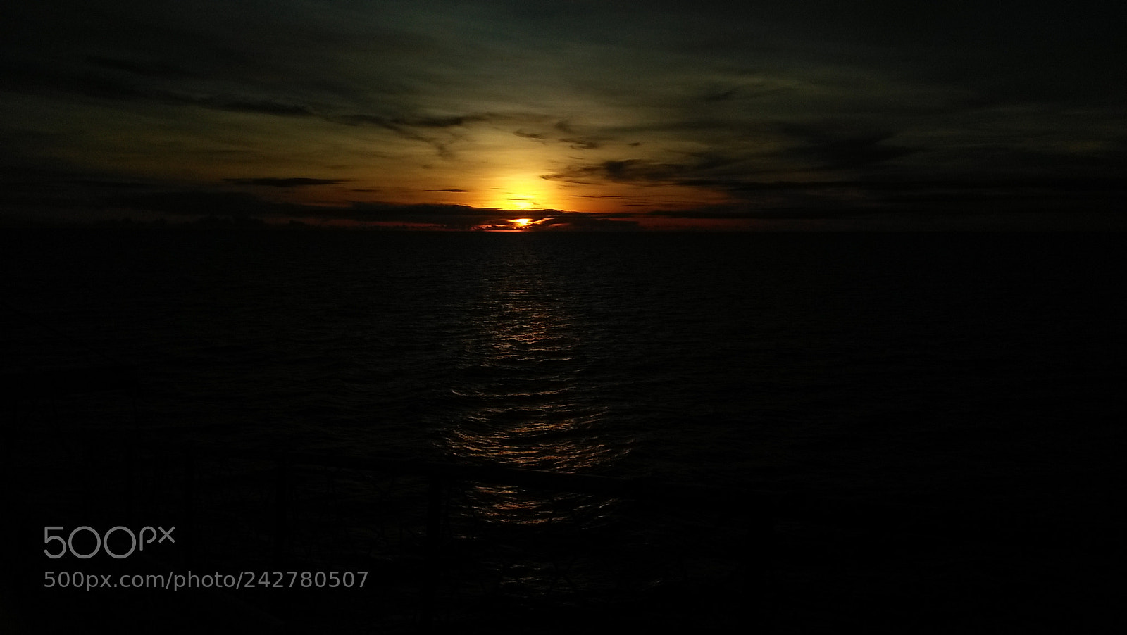 OPPO A37fw-International sample photo. Img photography