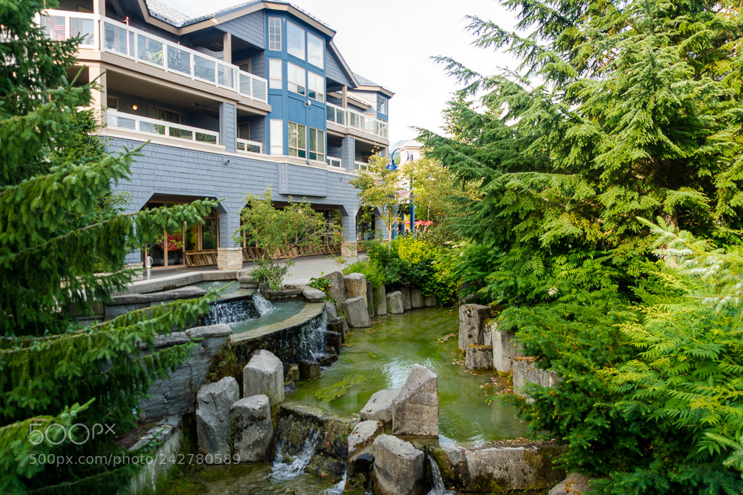 Sony SLT-A65 (SLT-A65V) sample photo. Whistler, 4. photography