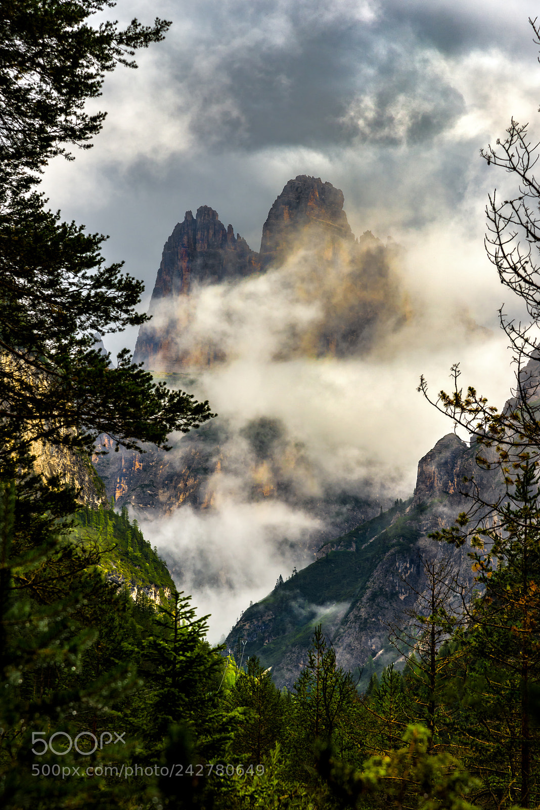 Nikon D810 sample photo. Glimpse in the clouds photography
