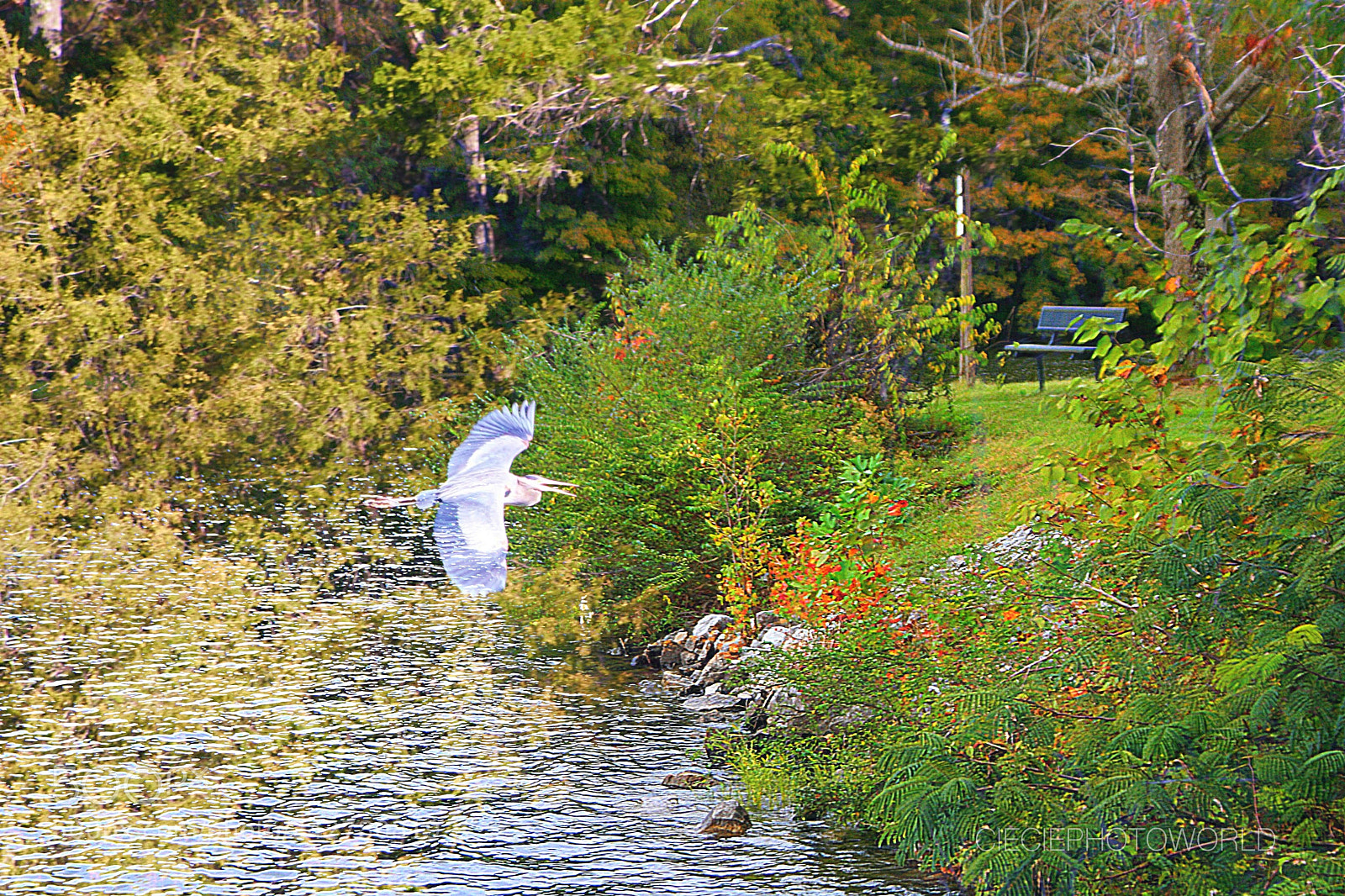 Canon EOS 400D (EOS Digital Rebel XTi / EOS Kiss Digital X) sample photo. Relaxing lake photography