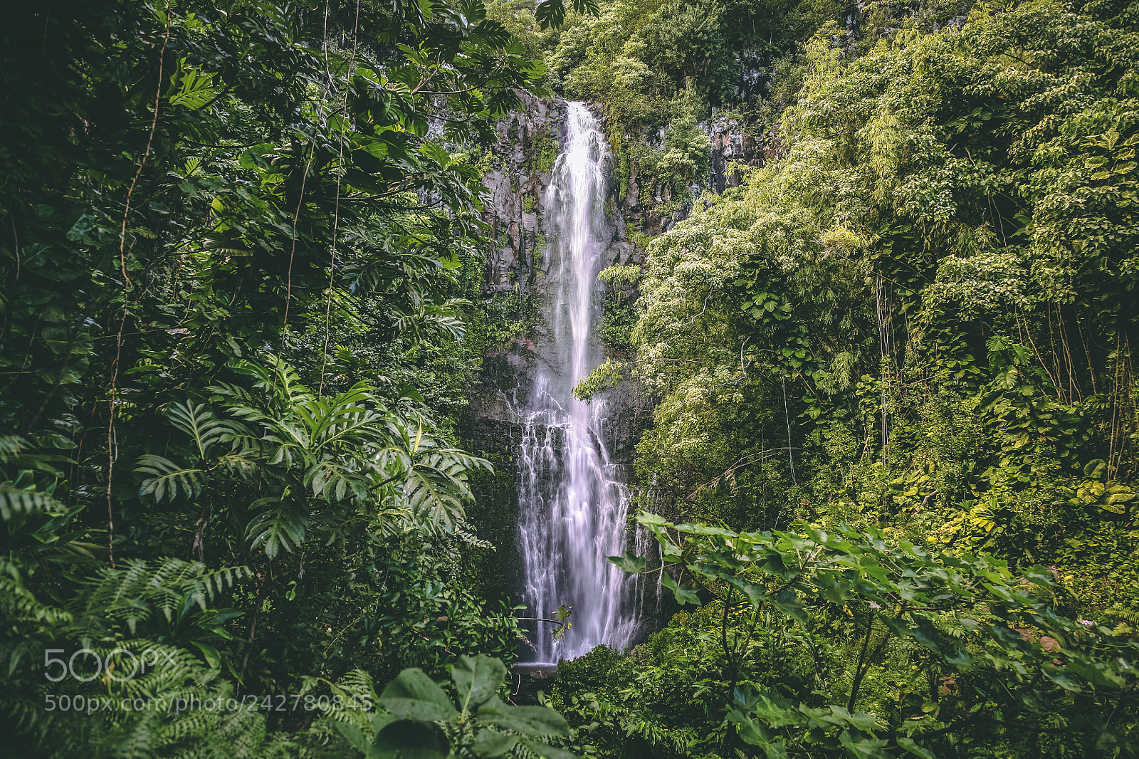 Canon EOS 5D sample photo. Road to hana, maui photography