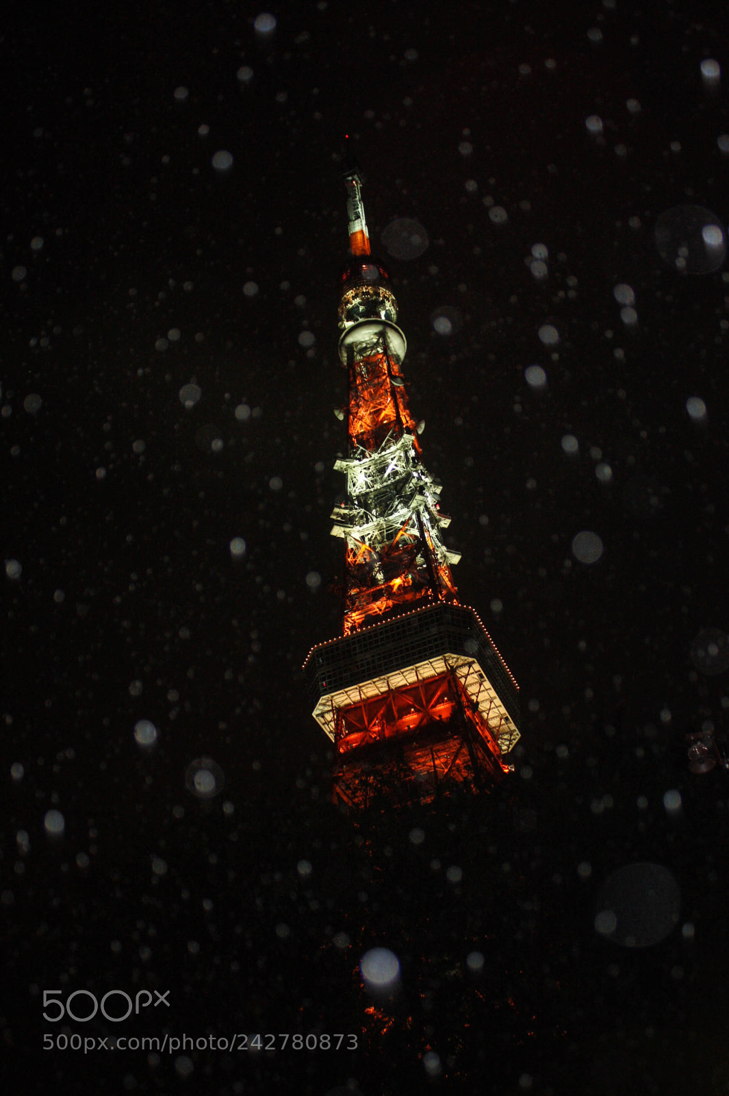 Canon EOS 450D (EOS Rebel XSi / EOS Kiss X2) sample photo. Tokyo tower and the photography