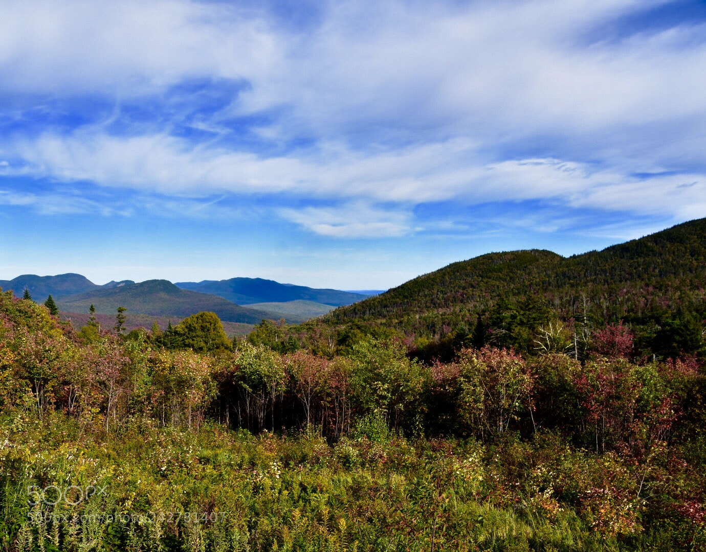 Nikon D7200 sample photo. Untitled photography