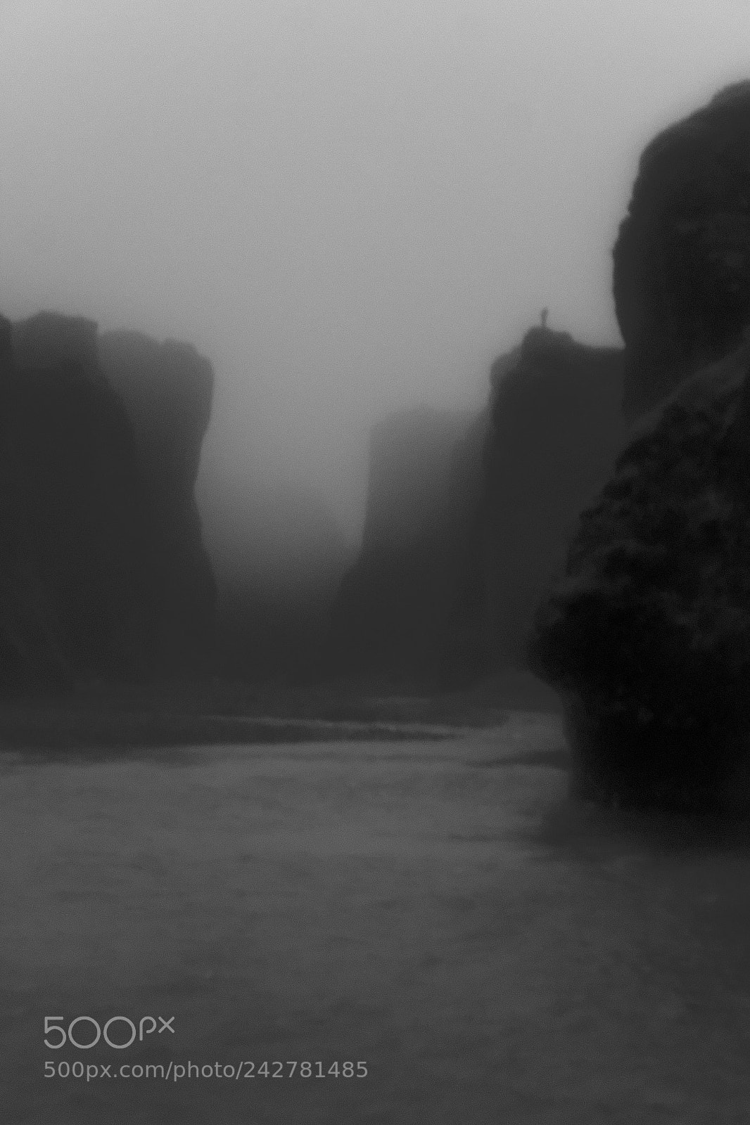 Canon EOS 550D (EOS Rebel T2i / EOS Kiss X4) sample photo. Lost in the clouds photography