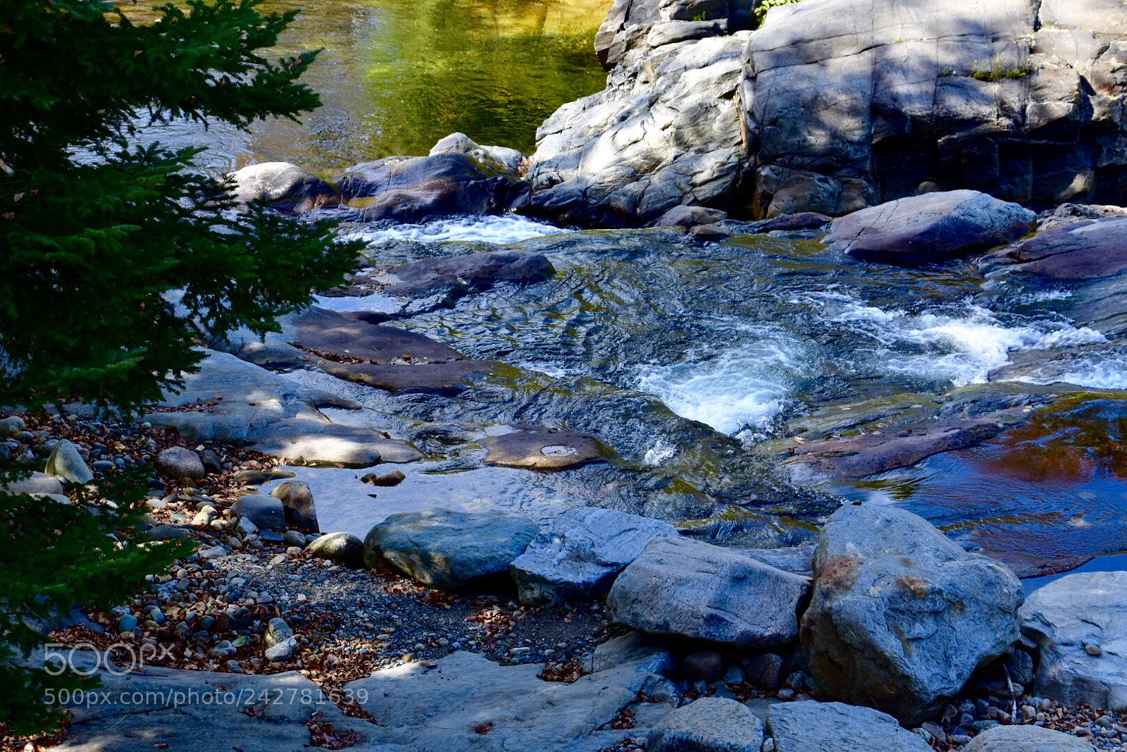 Nikon D7200 sample photo. Untitled photography