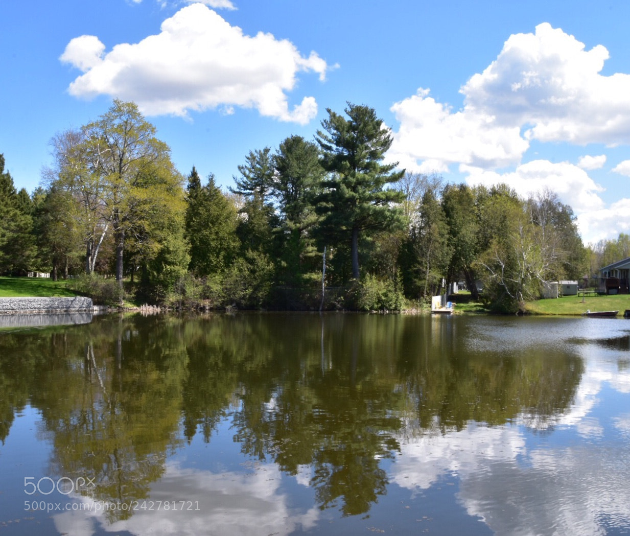 Nikon D7200 sample photo. Untitled photography
