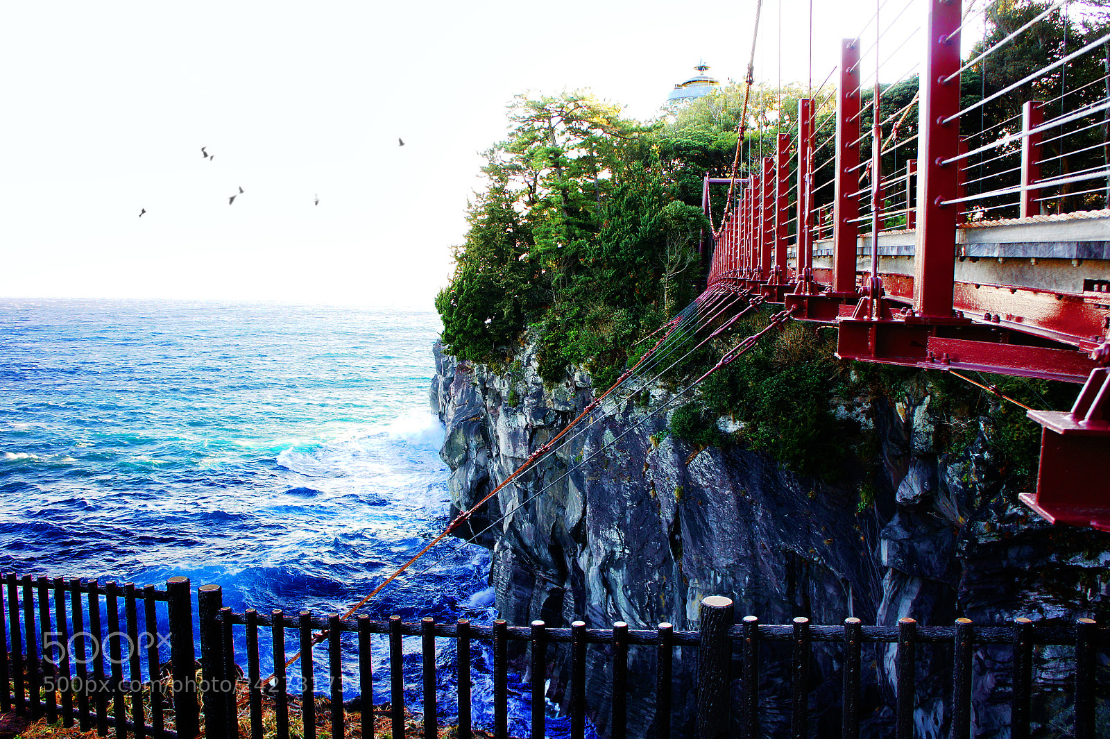 Sony Alpha NEX-5 sample photo. Red bridge and blue photography