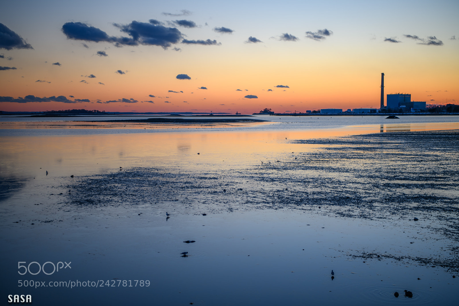 Nikon D850 sample photo. Evening glow photography