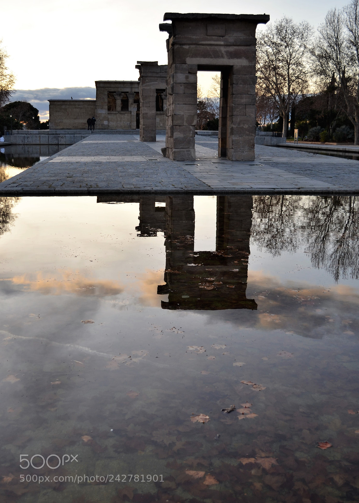 Nikon D5100 sample photo. Untitled photography