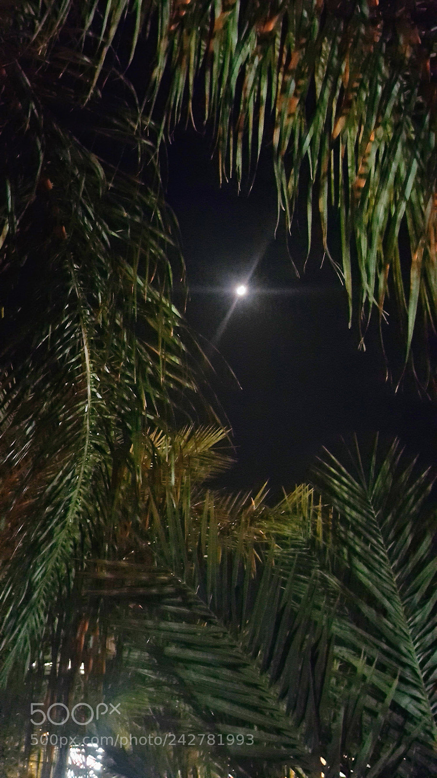 Samsung Galaxy Note5 sample photo. Untitled photography