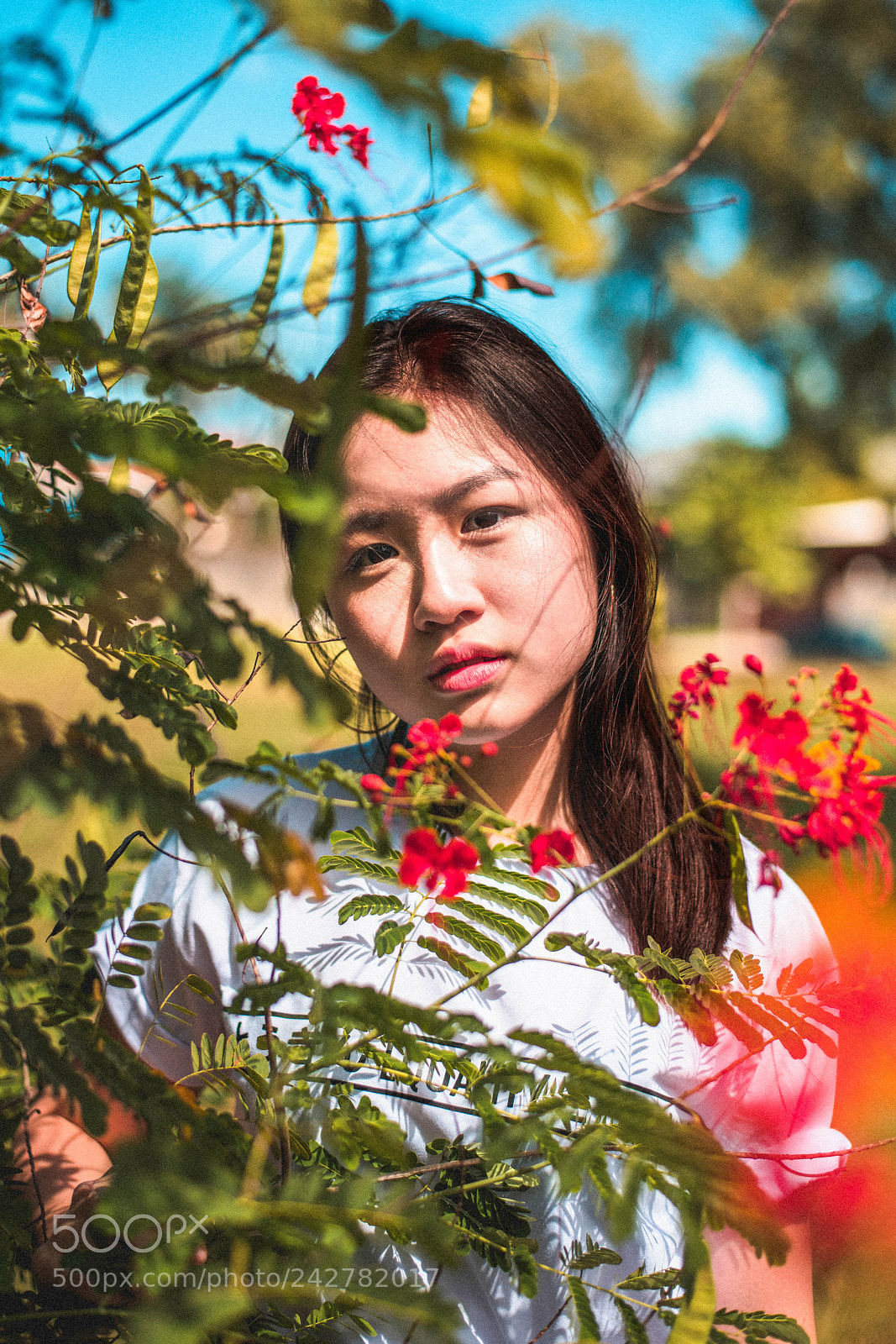 Nikon D850 sample photo. Untitled photography