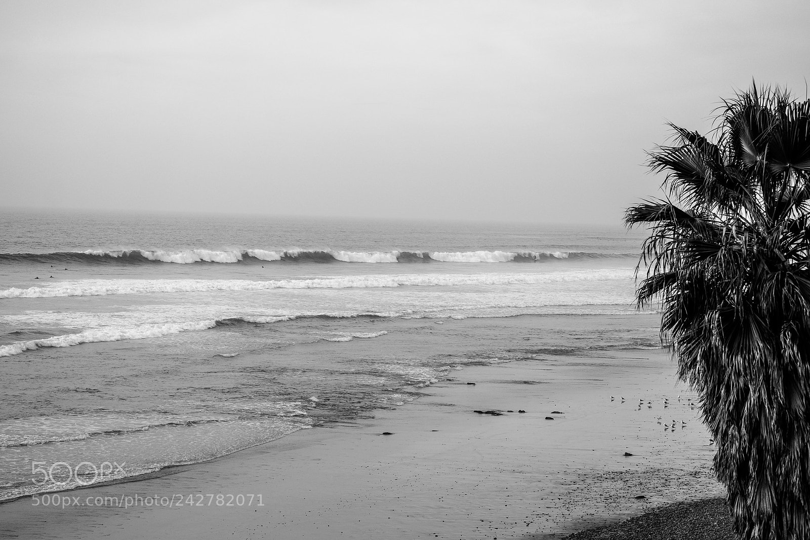Fujifilm X-E2 sample photo. San elijo swell photography