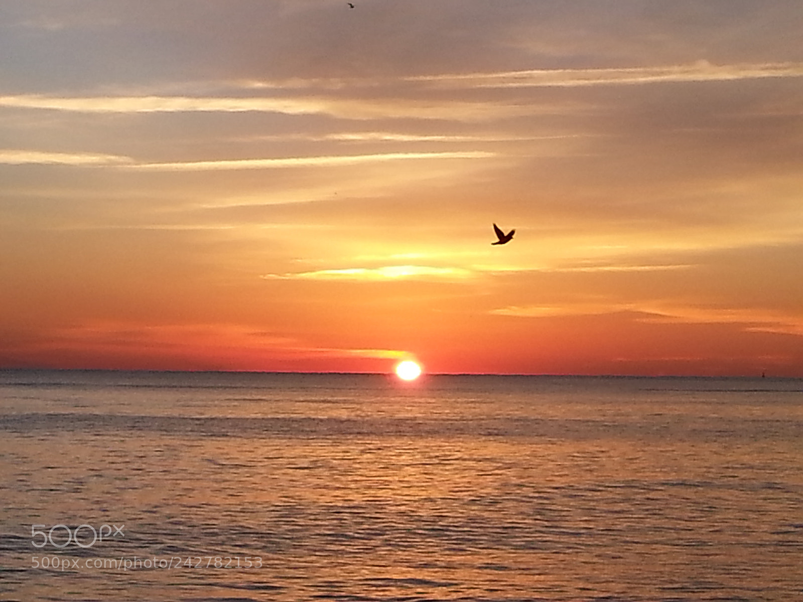 Samsung Galaxy S3 sample photo. Majestic sunrise photography