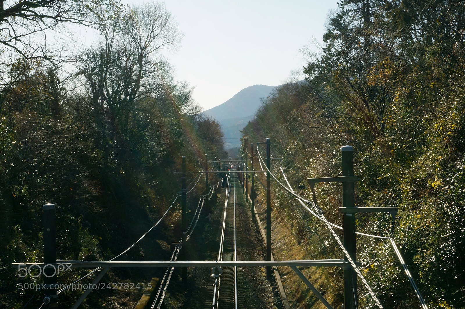 Sony SLT-A37 sample photo. Rail in nature photography