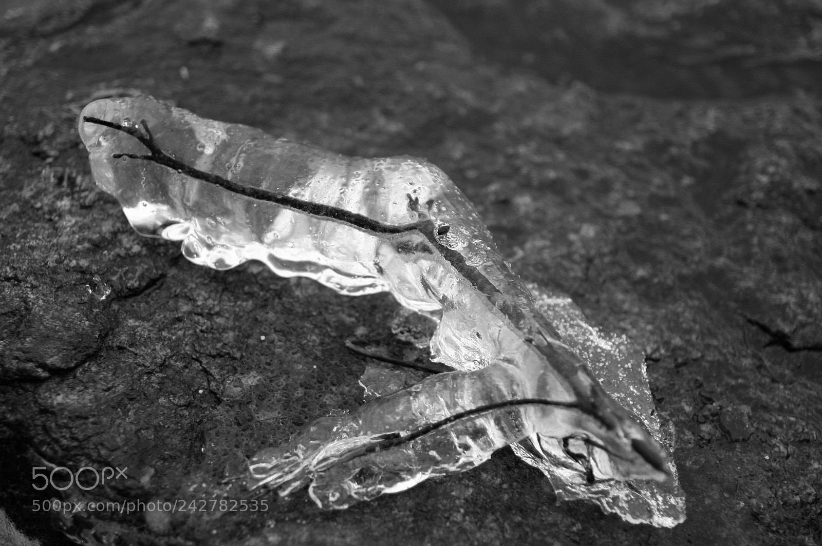 Canon EOS 40D sample photo. Icicle photography
