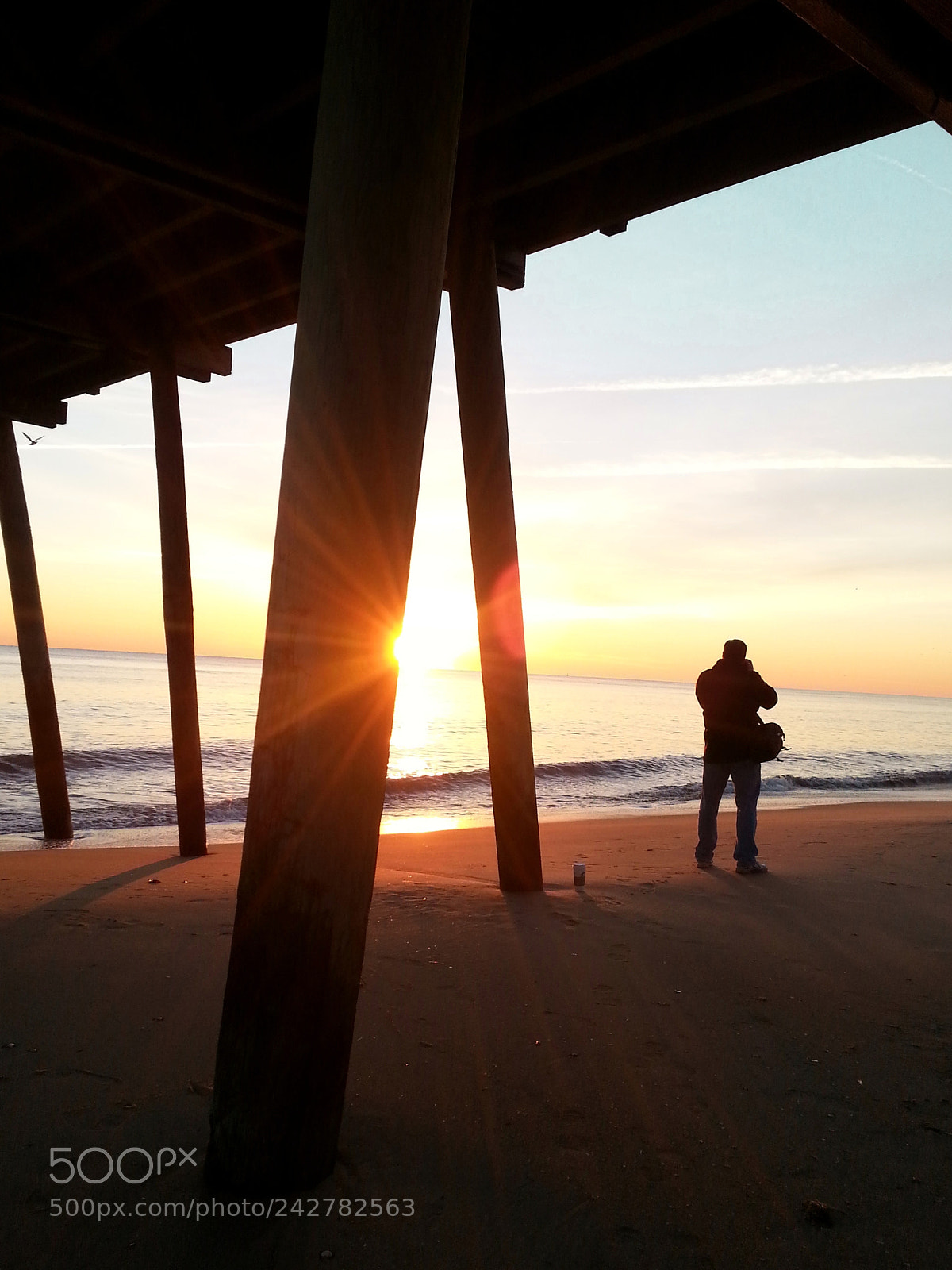 Samsung Galaxy S3 sample photo. The photographer photography