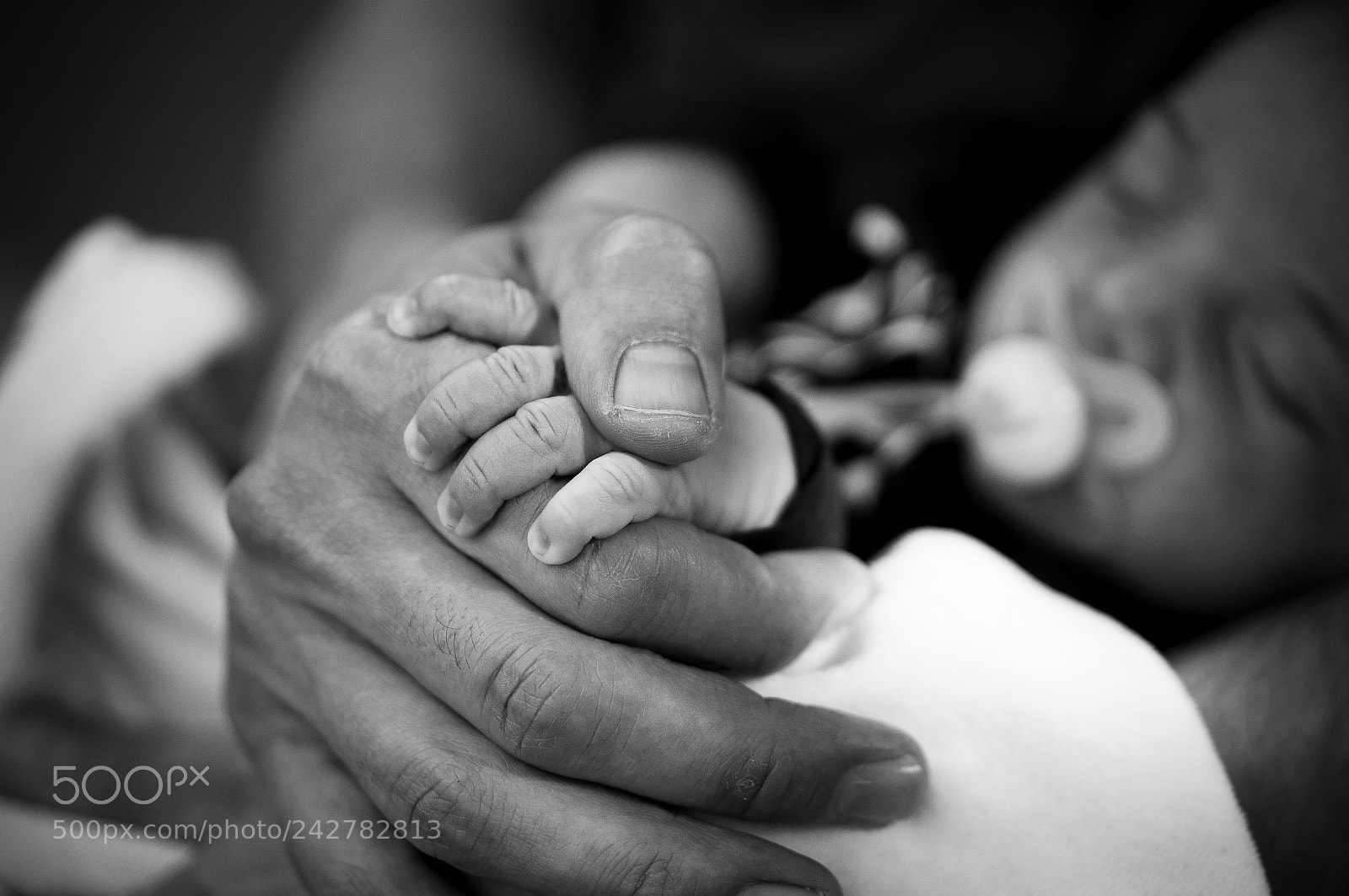 Sony Alpha NEX-3N sample photo. Daddy. photography