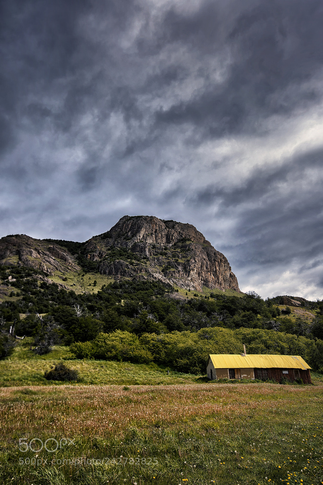 Nikon D810 sample photo. Fitz roy photography