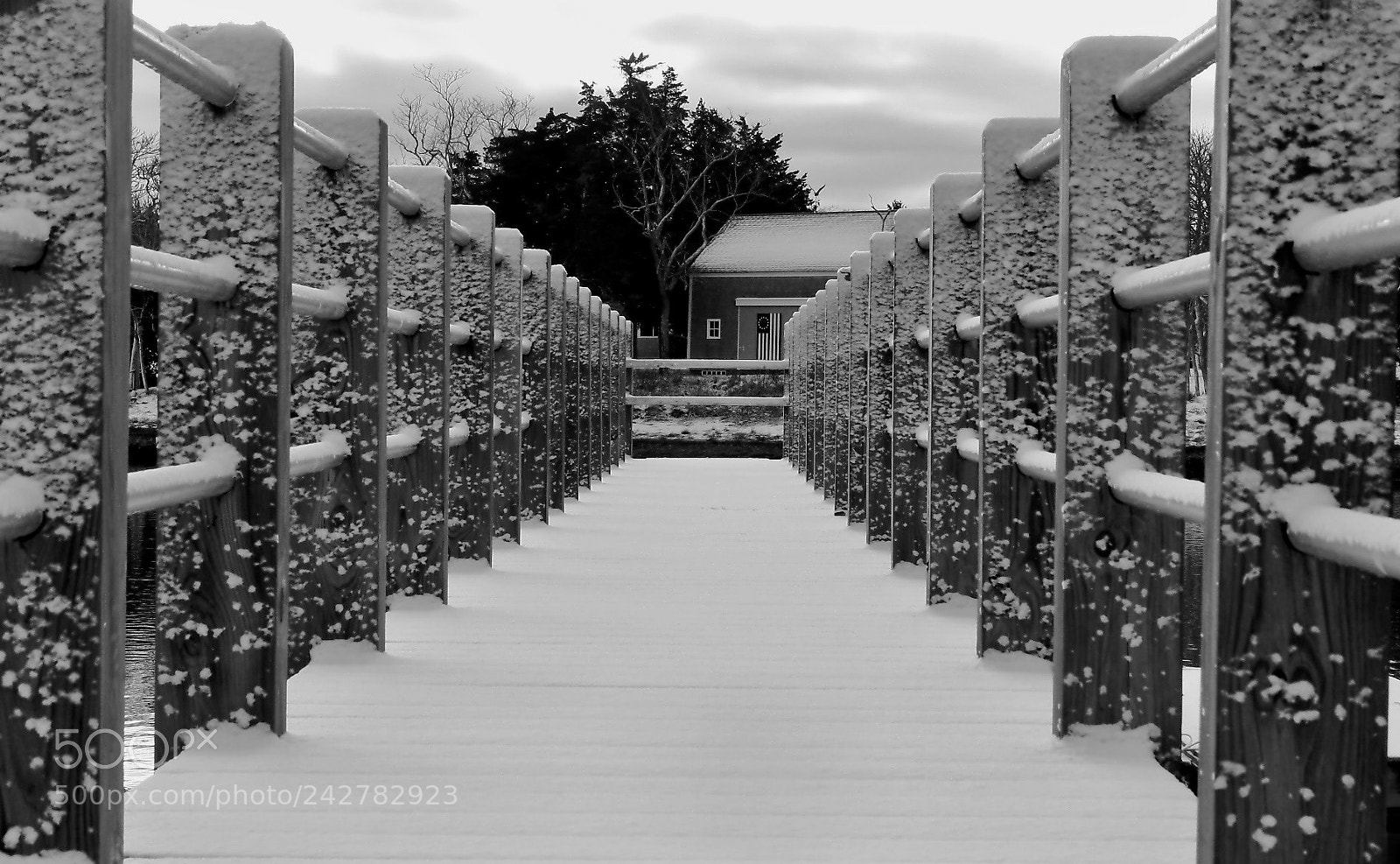 Canon EOS 40D sample photo. Bridge photography