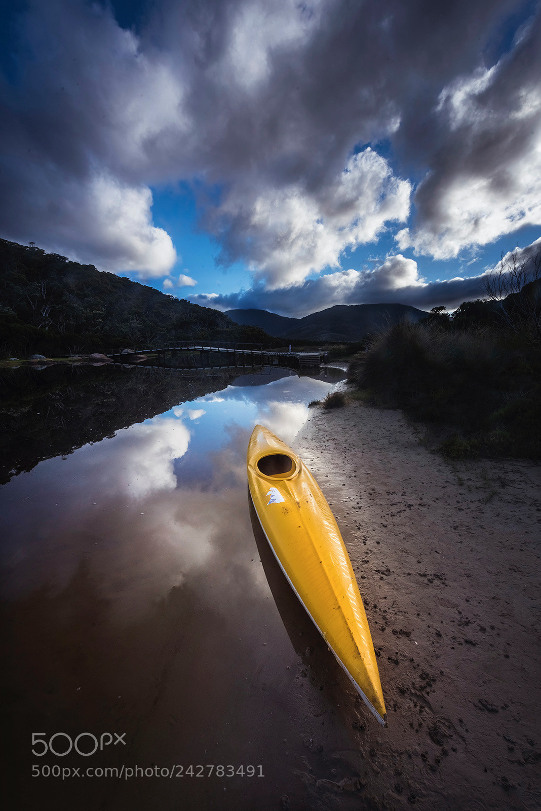 Nikon D810 sample photo. River bank photography