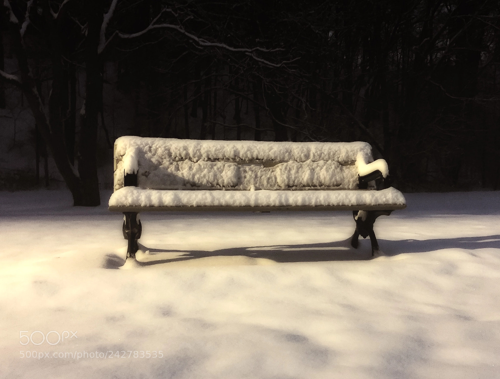 Apple iPhone 6 sample photo. Lonely park bench after photography