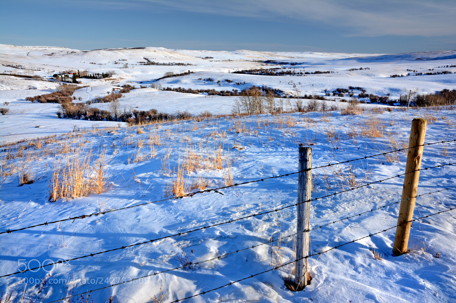 Nikon D7100 sample photo. The view of beaver photography