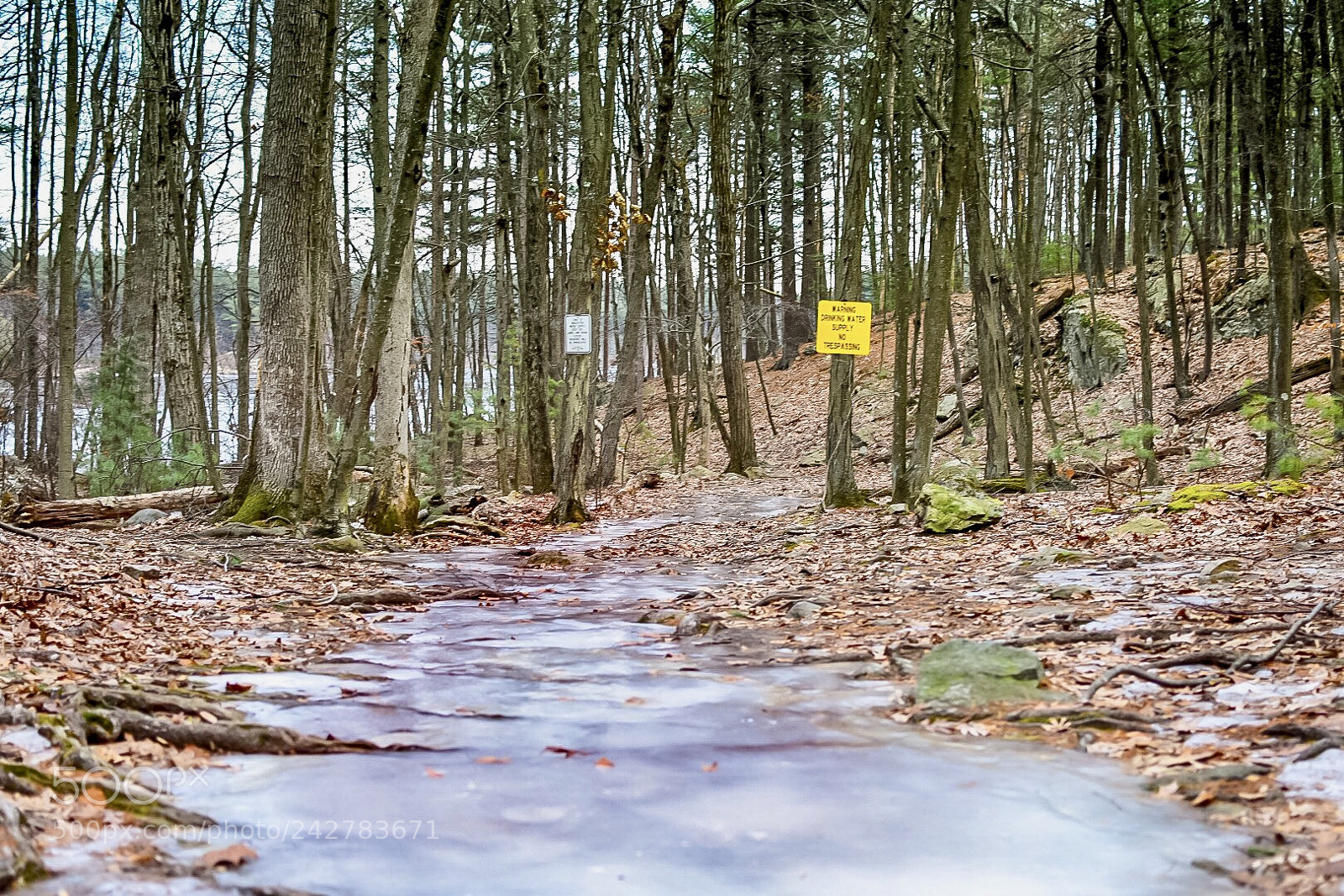 Nikon D7200 sample photo. Icy steps photography
