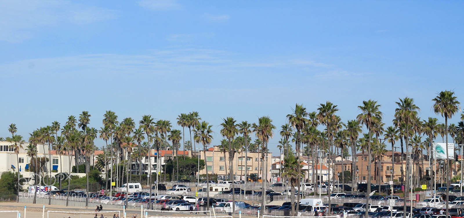 Canon EOS 1100D (EOS Rebel T3 / EOS Kiss X50) sample photo. Palms photography