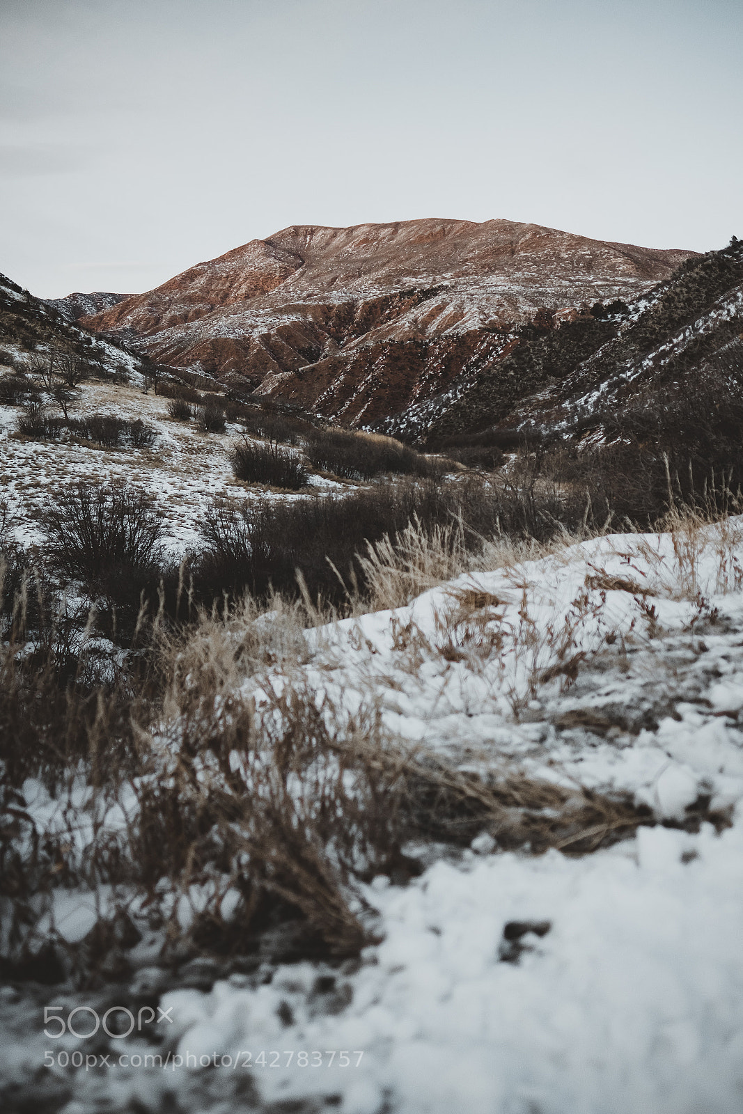 Fujifilm X-T2 sample photo. Untitled photography