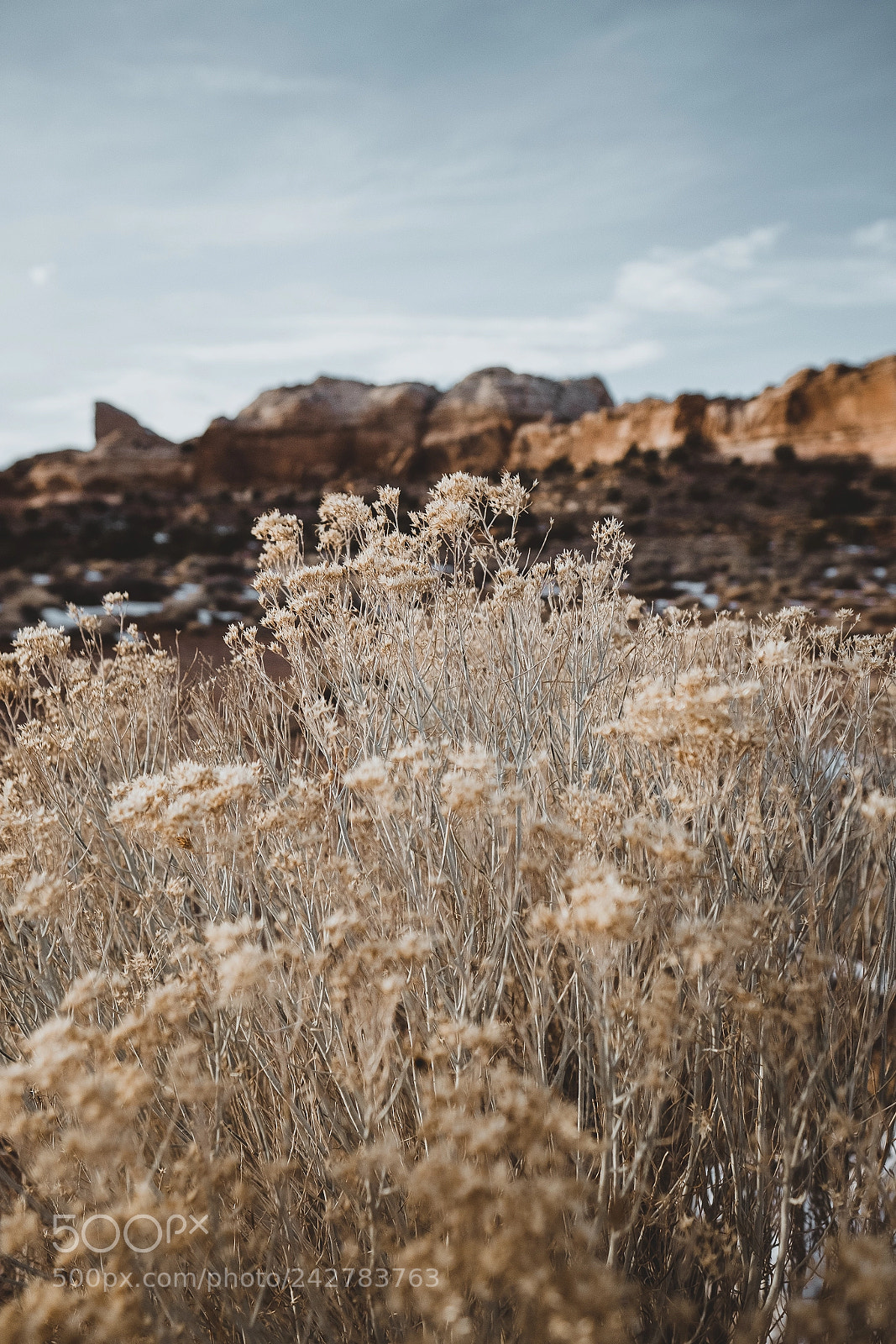 Fujifilm X-T2 sample photo. Untitled photography
