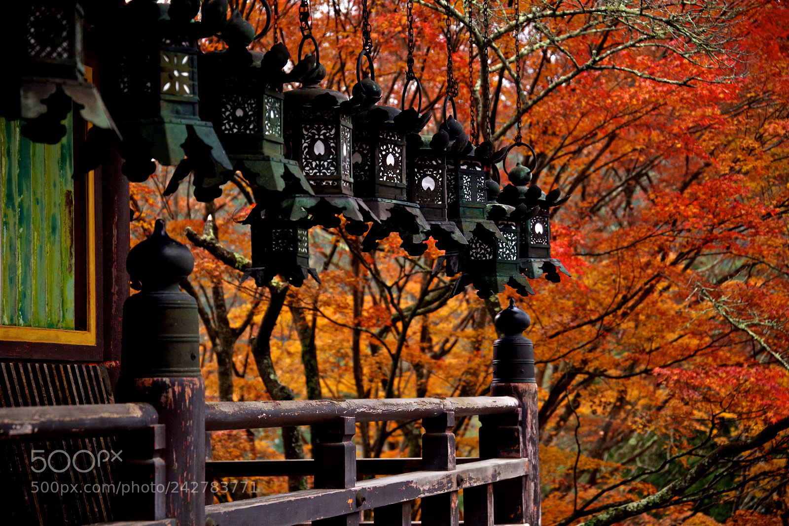 Pentax K-1 sample photo. Tanzan shrine photography