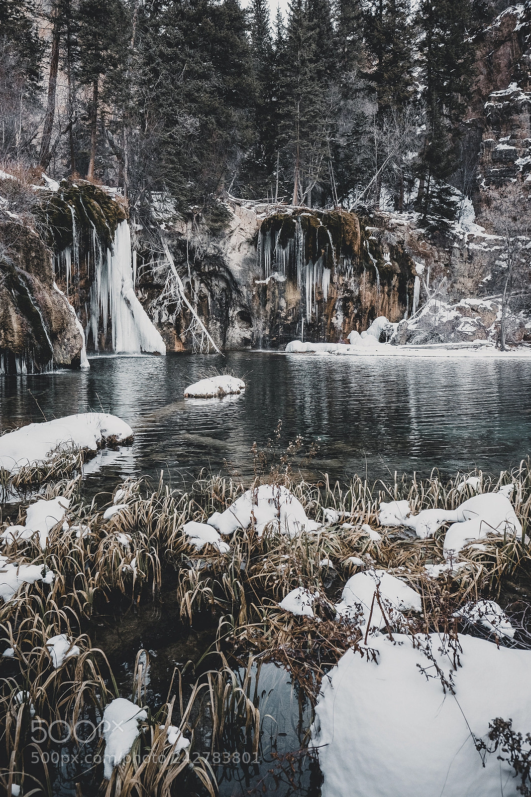 Fujifilm X-T2 sample photo. Frozen photography
