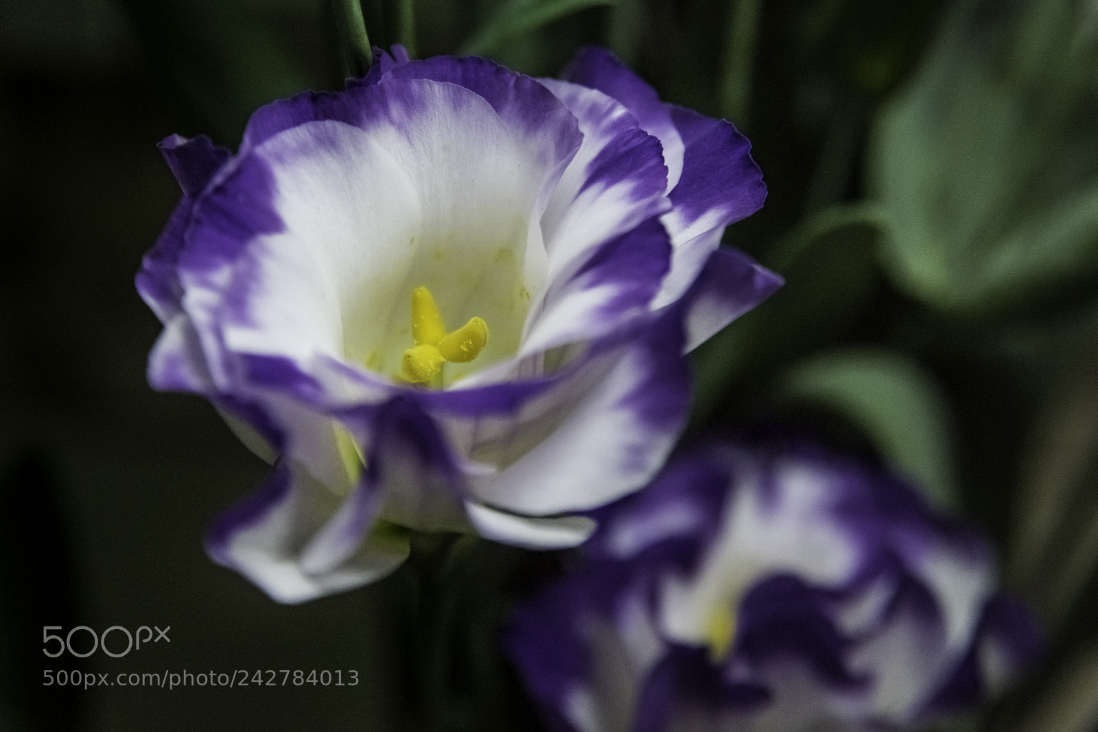 Nikon D810 sample photo. A oscuras photography