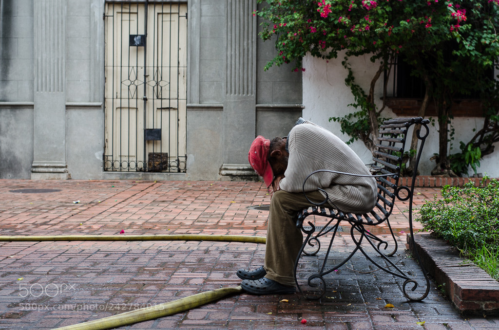 Nikon D5100 sample photo. Rest at work photography