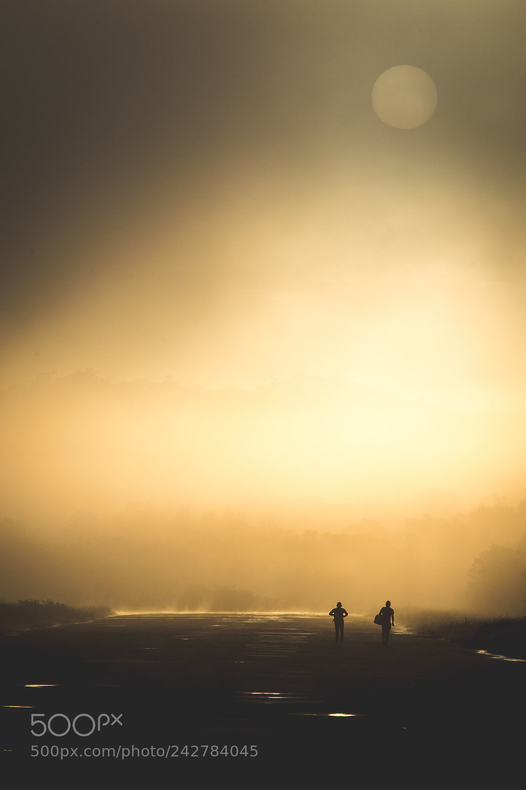 Nikon D3100 sample photo. Amanhecer na floresta photography