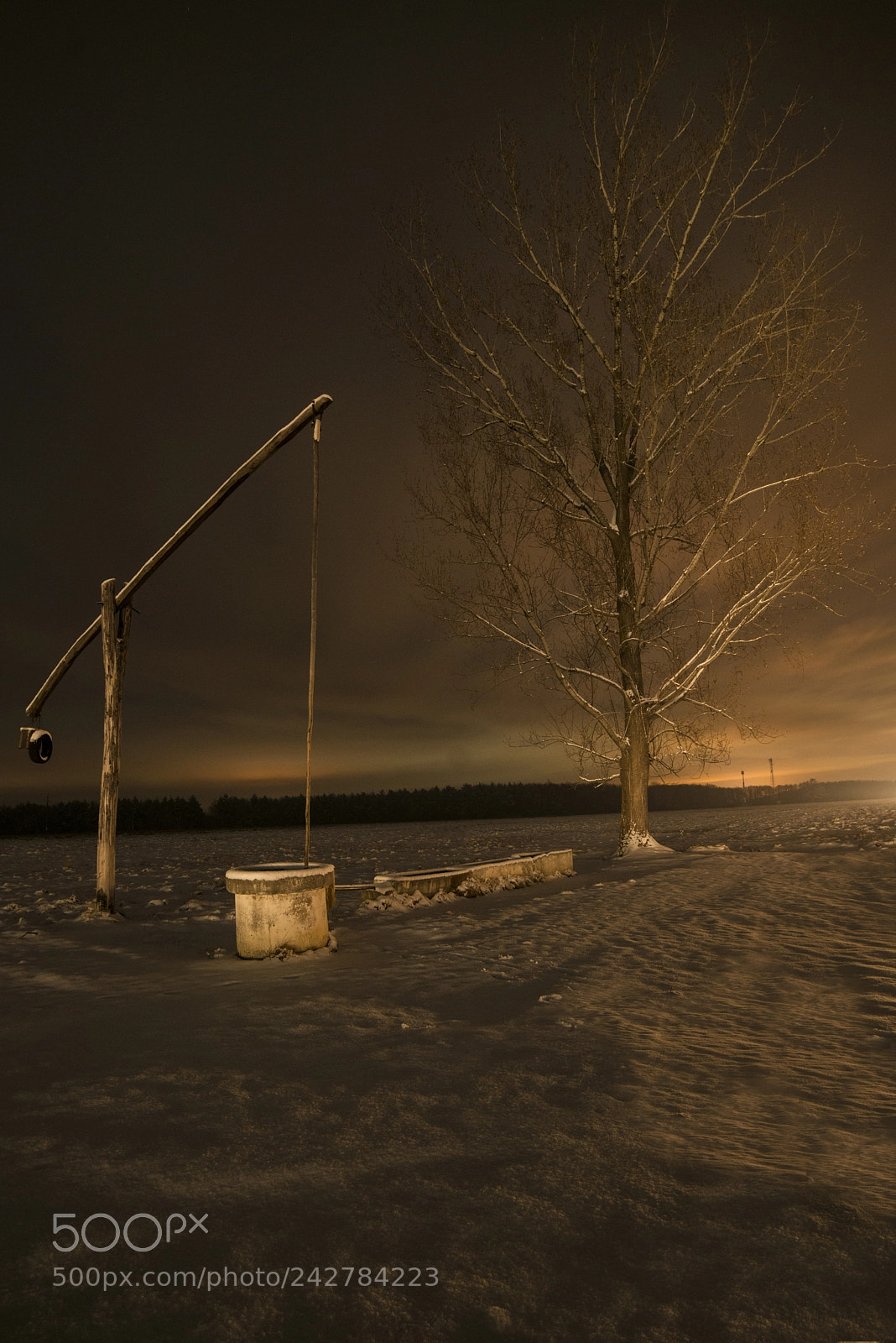 Nikon D800 sample photo. My night.. photography