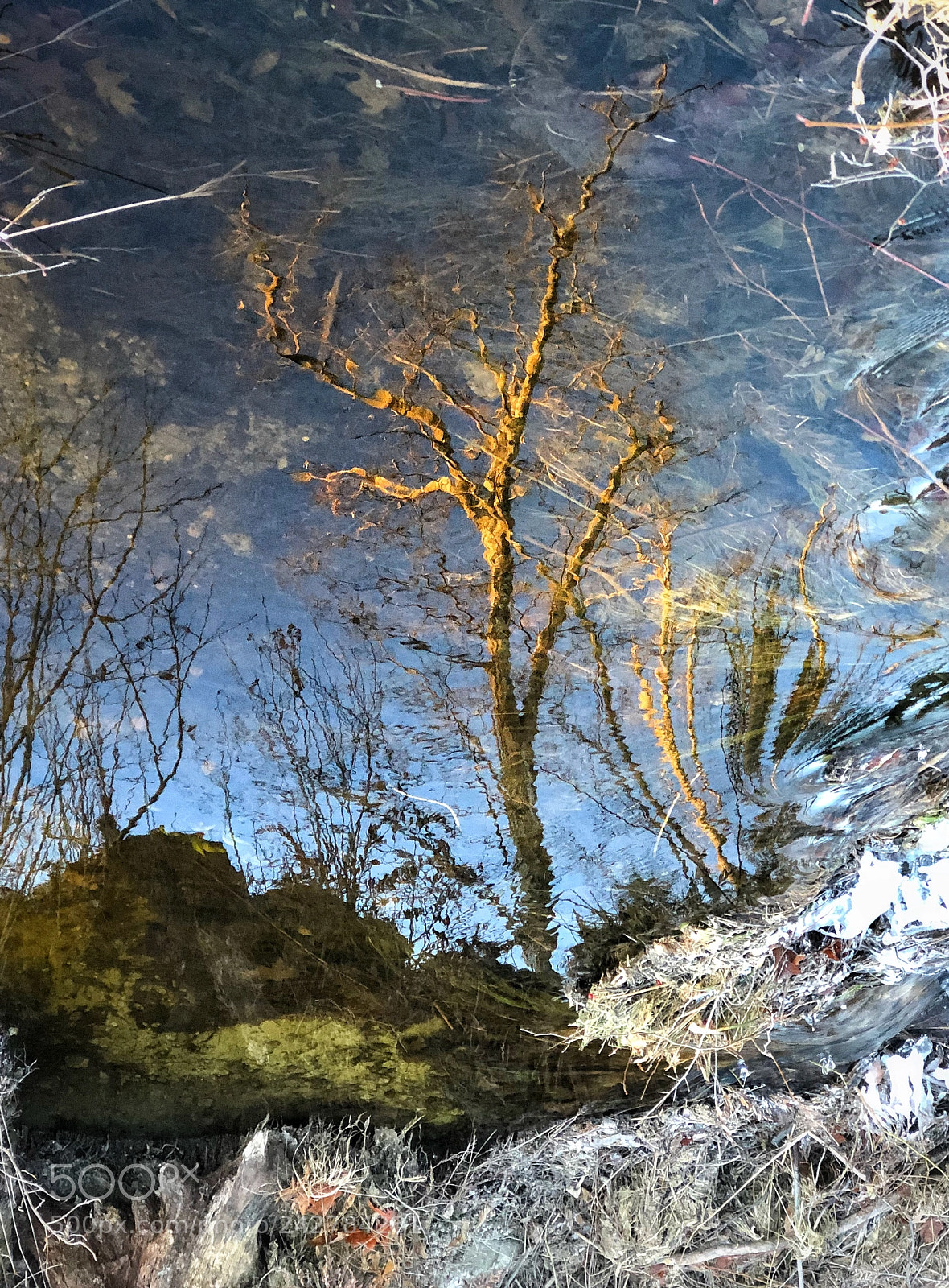 Apple iPhone 8 Plus sample photo. Water world photography