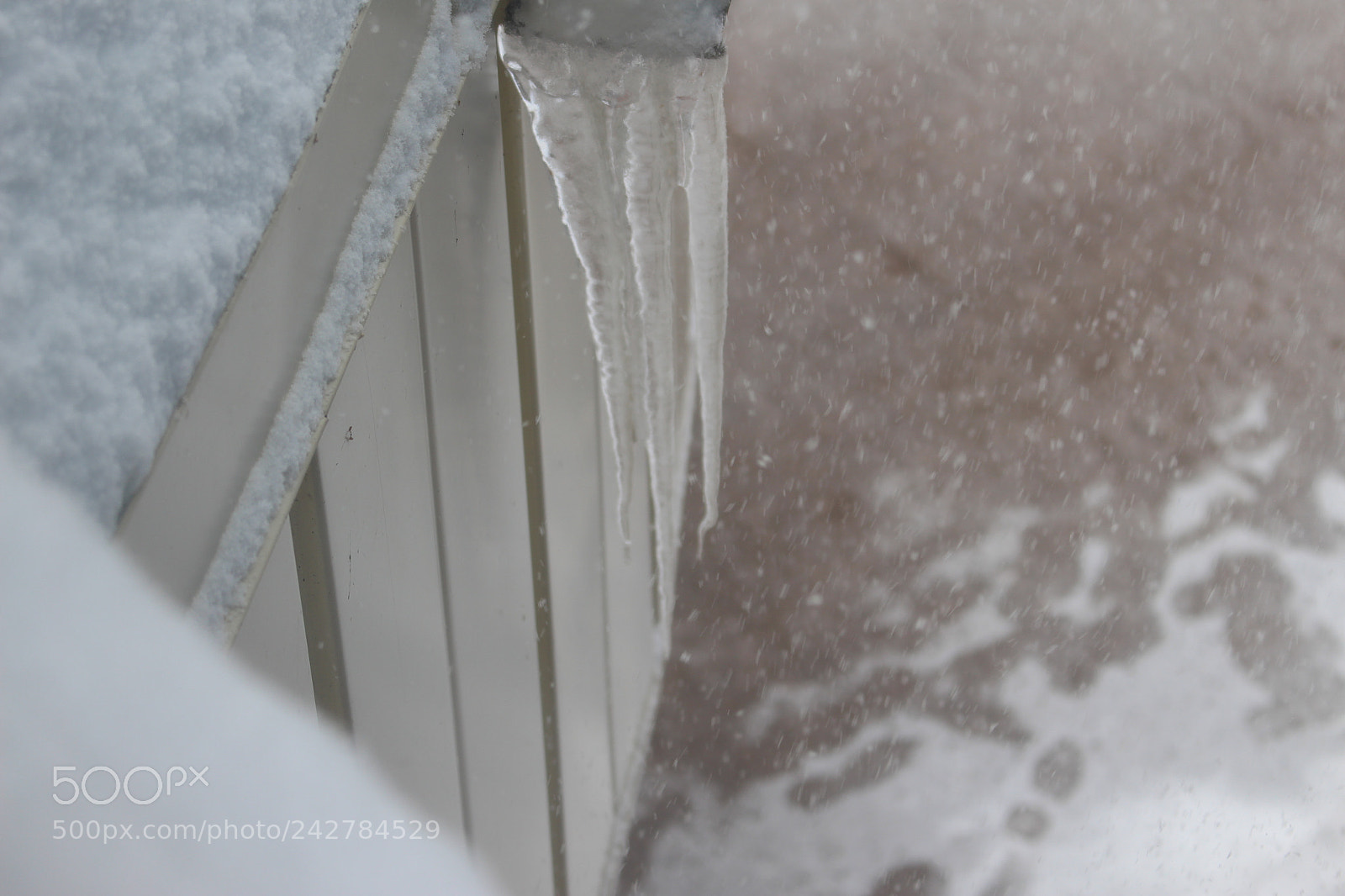 Canon EOS 700D (EOS Rebel T5i / EOS Kiss X7i) sample photo. Frozen photography