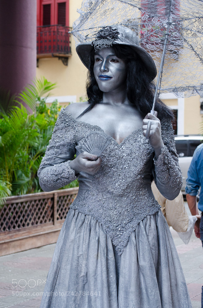 Nikon D5100 sample photo. Madame photography