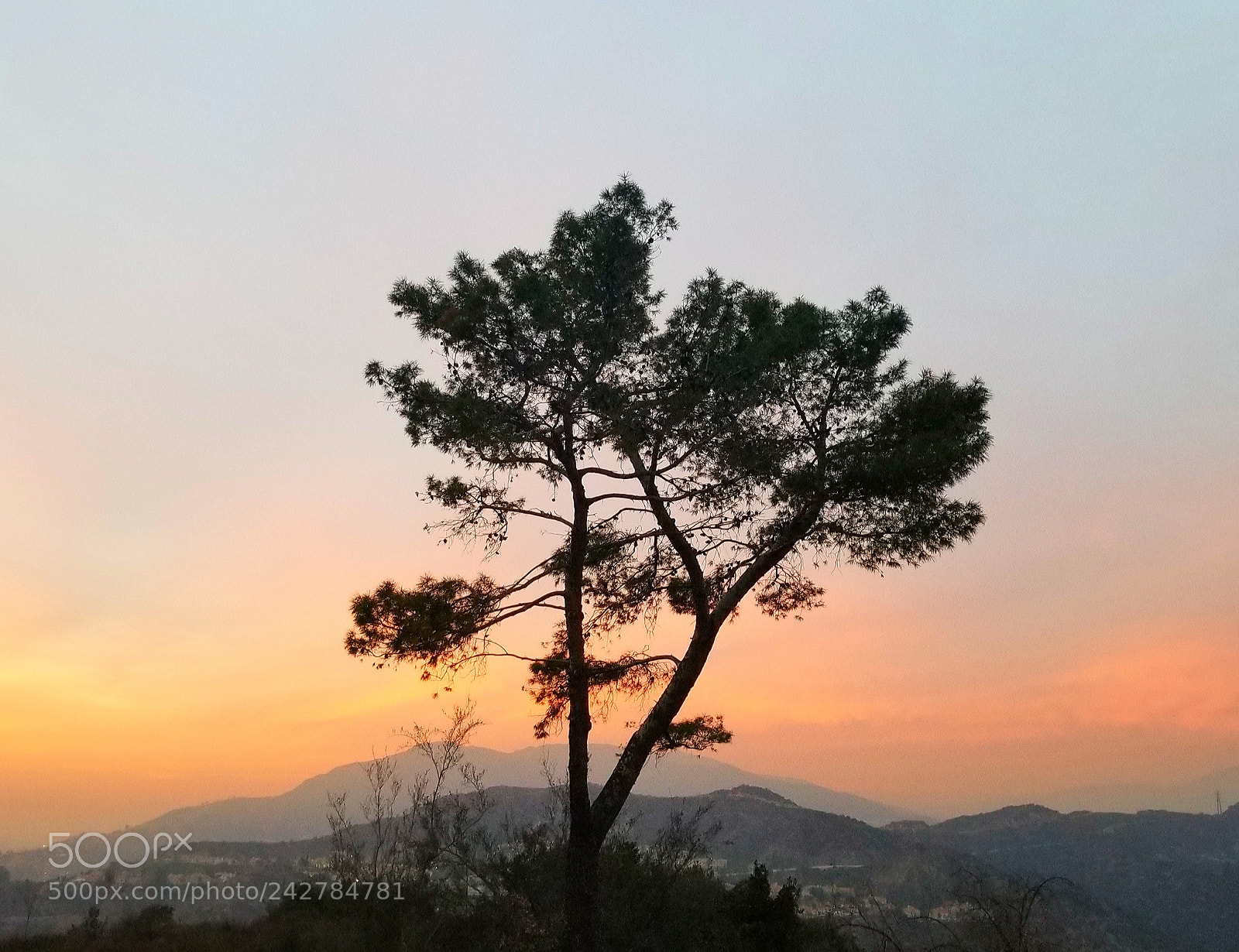 Samsung Galaxy S8+ sample photo. Untitled photography