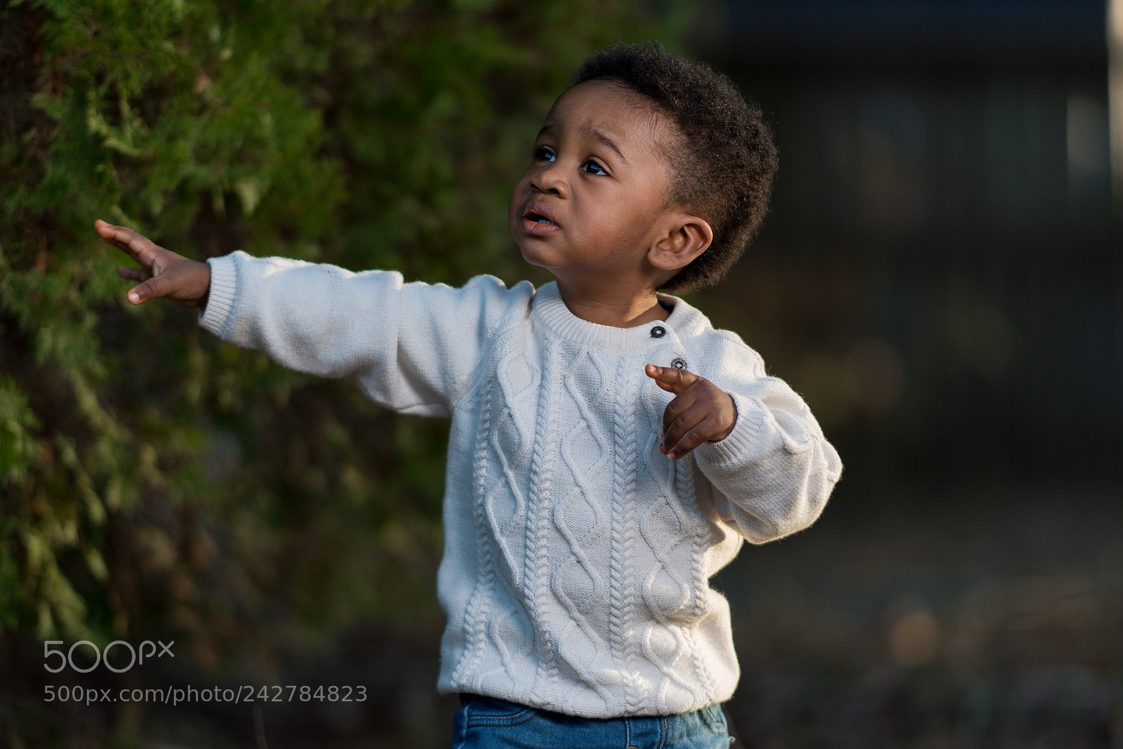 Nikon D810 sample photo. Boy in sweater photography