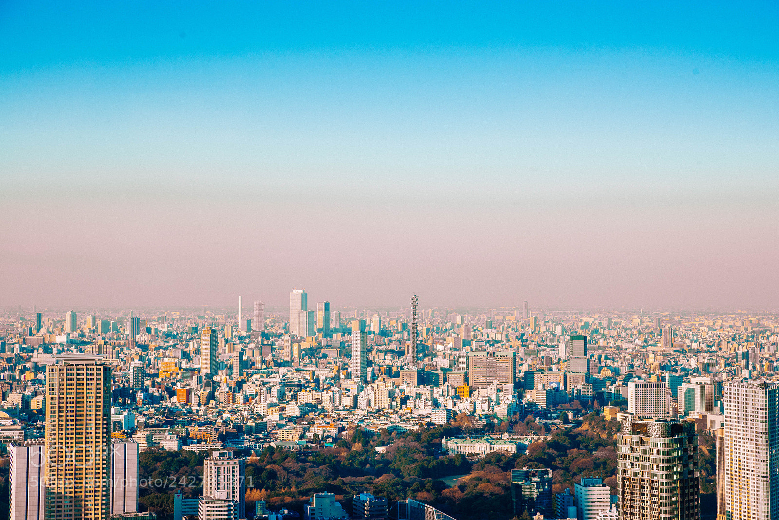 Nikon D810 sample photo. Tokyocity photography
