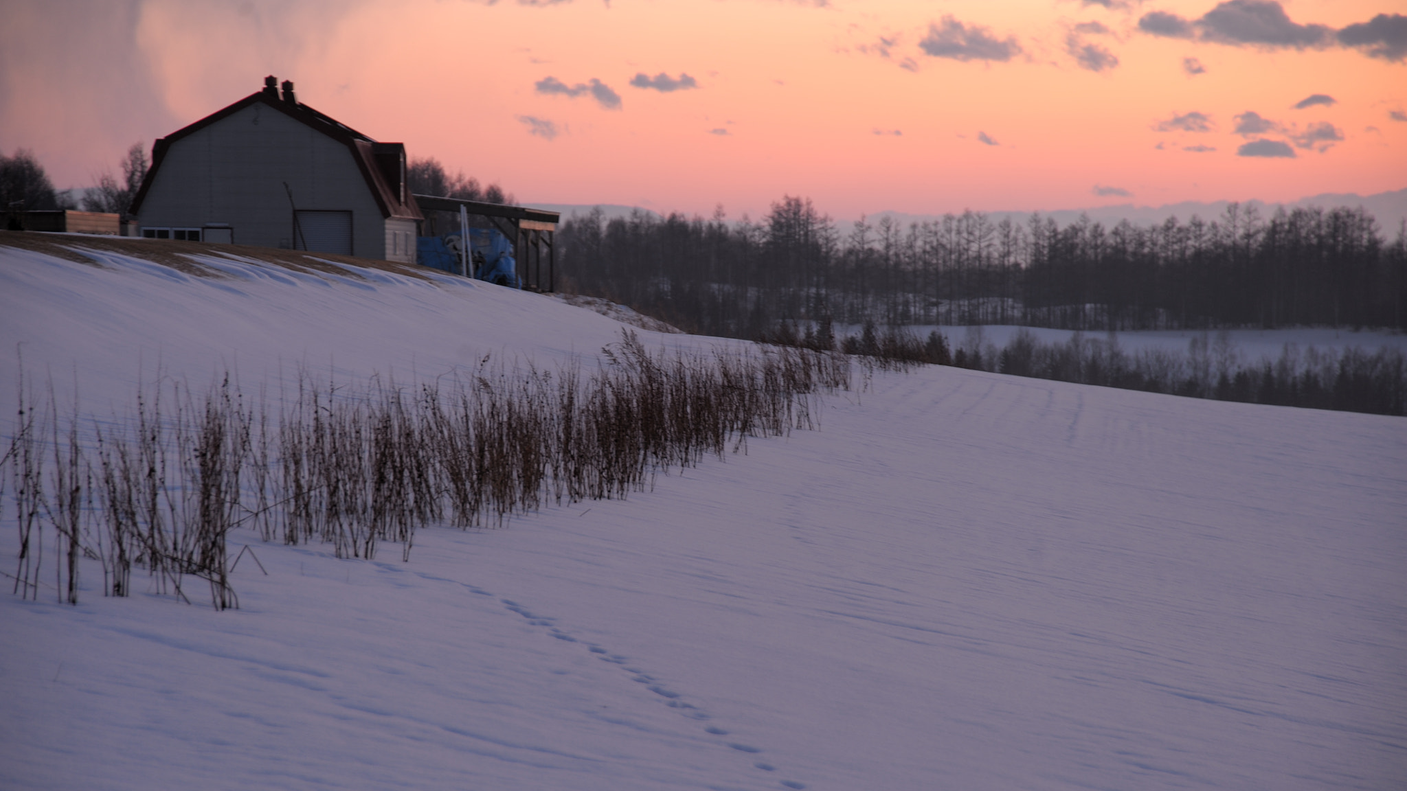 Nikon D700 sample photo. Time to photography