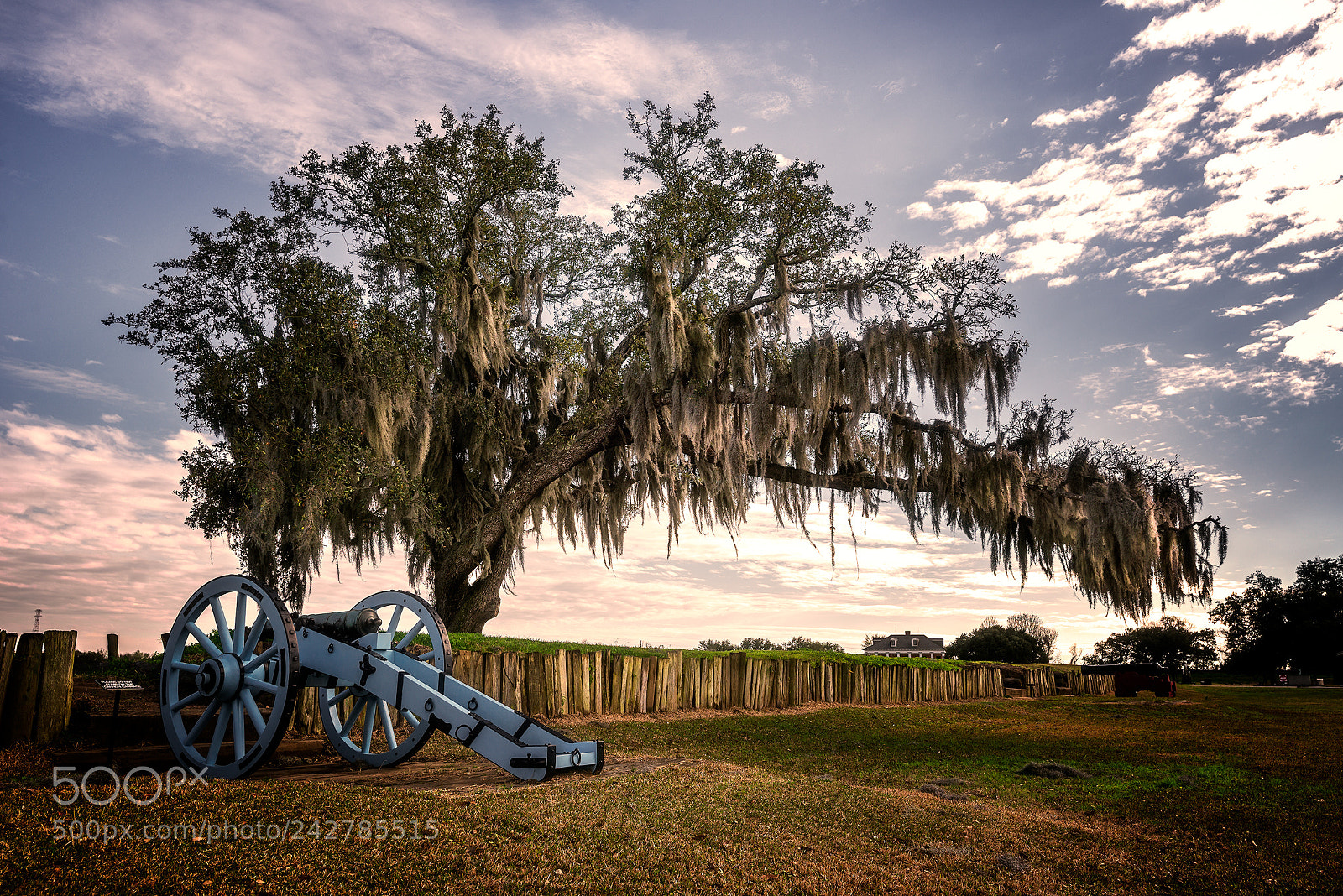 Nikon D600 sample photo. Battle oak photography