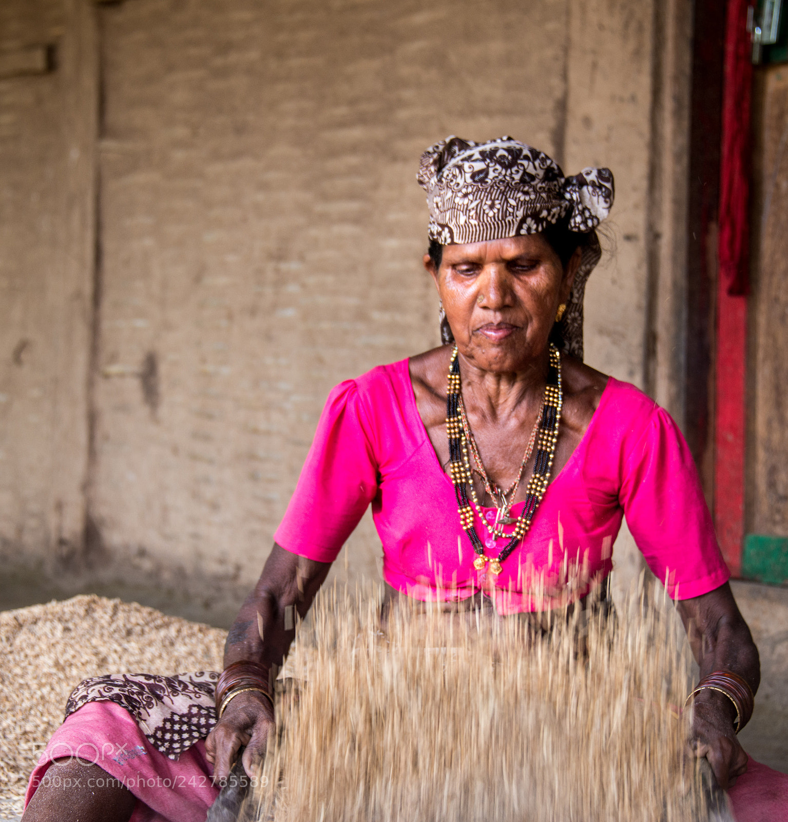 Nikon D800 sample photo. More rice photography